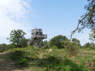 Uitkijktoren Nationaal Park De Meinweg Roermond